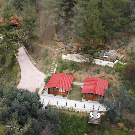 Bosco Paradiso Limasol Dış mekan fotoğraf