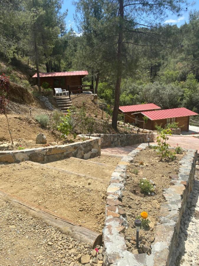 Bosco Paradiso Limasol Dış mekan fotoğraf
