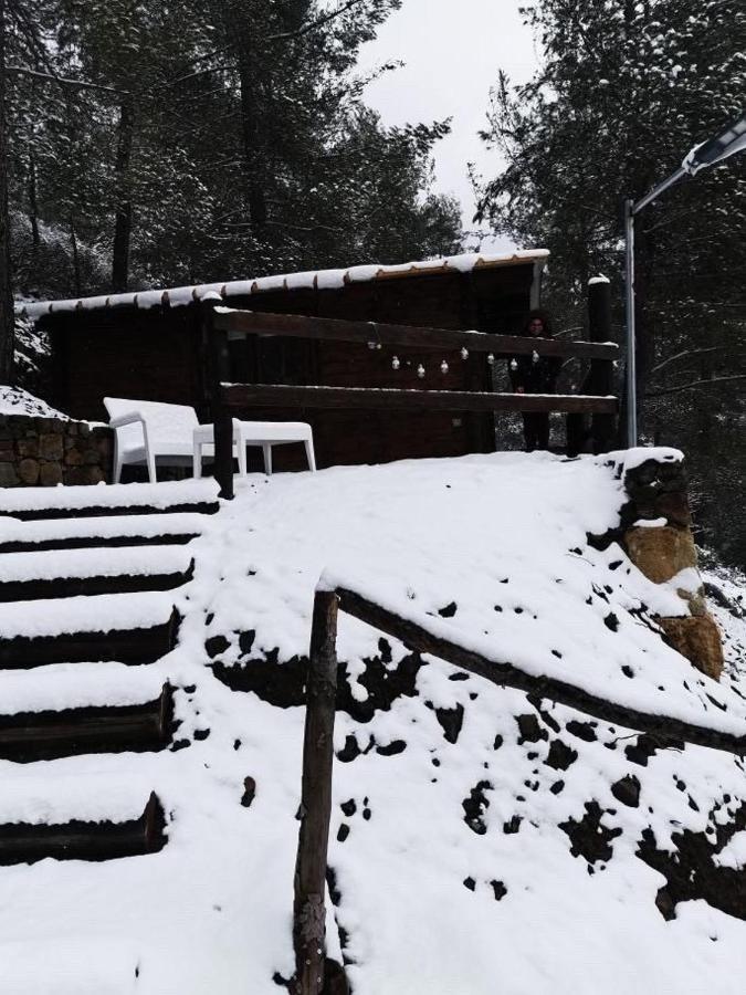 Bosco Paradiso Limasol Dış mekan fotoğraf